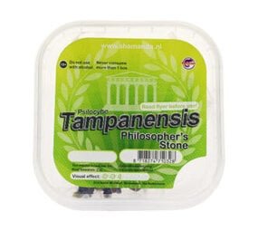 Tampanensis - 15 gram